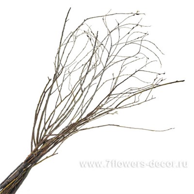 Набор ивы шверина, Н110 см, (10 шт)