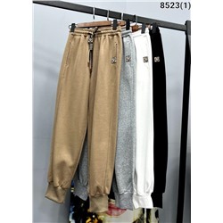 Спортивные Брюки 8523(1)