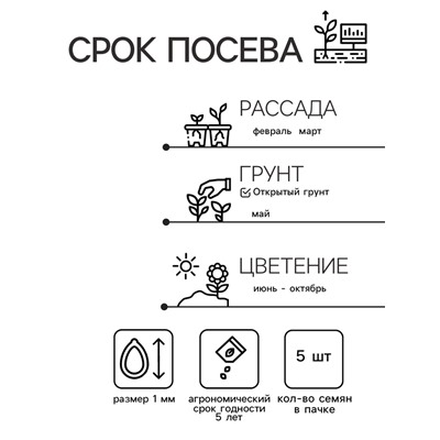 Семена цветов Петуния "Шок Вэйв Пинк вейн F1", 5 шт