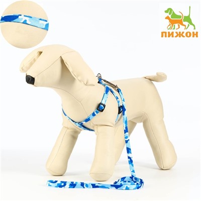 Комплект "Камуфляж", ширина 1 см,шлейка 21-35 см,поводок 120 см,капрон,капрон, сине-голубой