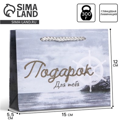 Пакет подарочный ламинированный, упаковка, «Present for you», S 15 х 12 х 5,5 cм