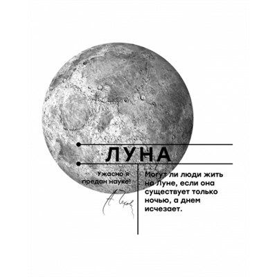 OXOUNO Футболка:жен. МОДЕЛЬ 51 OXO-3238-1227