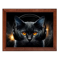POSG-0321 Постер в рамке 23x17см Чёрный кот в наушниках