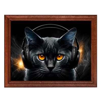 POSG-0321 Постер в рамке 23x17см Чёрный кот в наушниках