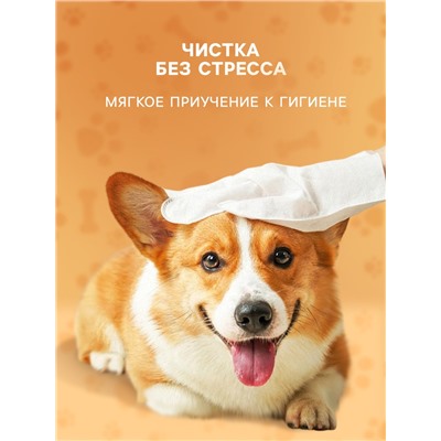 Влажные перчатки-салфетки для ежедневного ухода, 6 шт