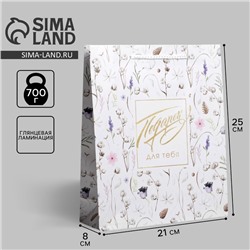 Пакет подарочный ламинированный, упаковка, «Gift for you», ML 21 х 25 х 8 см