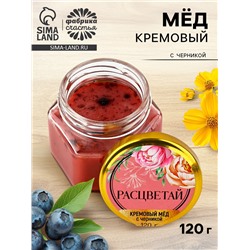 Крем-мёд «Расцветай», с черникой, 120 г