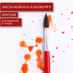 Кисть для рисования из волоса белка круглая № 9 (диаметр обоймы 5 мм; длина ворса 20 мм)