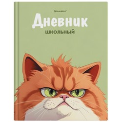 Дневник 5-11 класс 48 л., твердый, BRAUBERG, выборочный лак, с подсказом, Суровый Кот, 107196