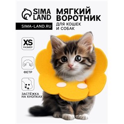 Ветеринарный воротник из фетра "Ромашка", размер XS, жёлтый