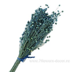 Букет из сухих колосовых культур "Лён", H40 см
