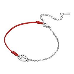 BS788-01 Браслет Знаки Зодиака, 22,5см, Рак