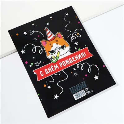 Конверт для денег, открытка на День Рождения, 6 листов, 16.5×21.5 см «Поздравительная»
