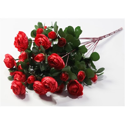 Ранункулюс 36 цветков