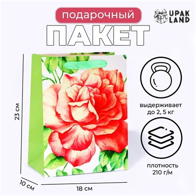 Пакет ламинированный «Цветок», MS 18×23×10 см
