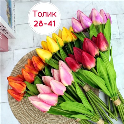 ТЮЛЬПАН   40см