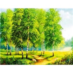 Алмазная мозаика/ подрамник/ полная выкладка/круглые стразы/ 40х50см/ арт.HA4113 БЕРЕЗОВАЯ РОЩА