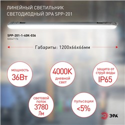 Нарушена упаковка!   Промышленный светильник Эра SPP-201-1-40K-036 (Б0047176)