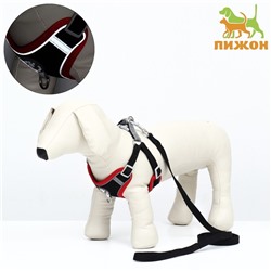 Комплект Sport+, S, поводок 120 x1 ,5 см, ОШ 39-41 см, ОГ 44-48 см, вес животного 7-13 кг, чёрный  9