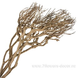 Набор веток (дерево), 65 см, (4 шт)
