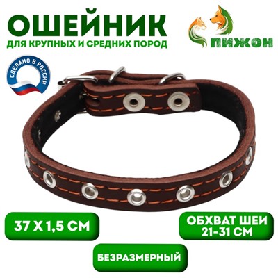 Ошейник кожаный на синтепоне, безразмерный, 37 х 1.5 см, ОШ 21-31 см, коричневый