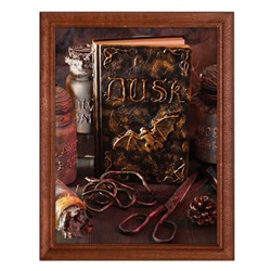 POSV-0047 Постер в рамке 17x23см Книга сумерек