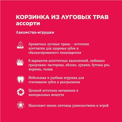 Лакомство Little One "Корзинка из луговых трав" с наполнением, ассорти, 65 г