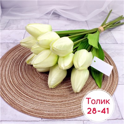 ТЮЛЬПАН   40см