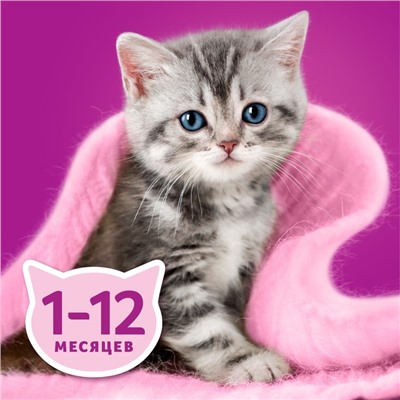Влажный корм Whiskas для котят, рагу ягненок, 75 г