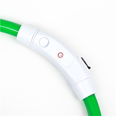 Ошейник - кольцо с подсветкой, зарядка от USB, до 70 см, 3 режима свечения, зелёный