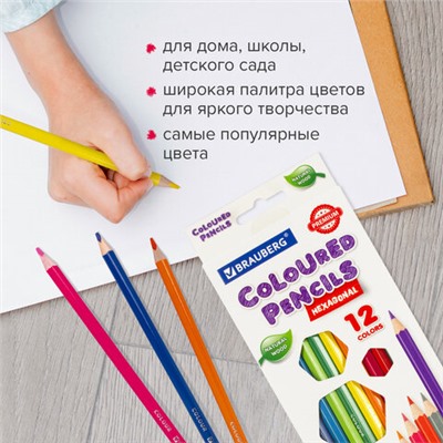 Карандаши цветные BRAUBERG PREMIUM, 12 цветов, шестигранные, грифель 3,3 мм, натуральное дерево, 181656