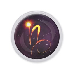MAF0333 Акриловый магнит Знаки Зодиака - Козерог
