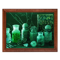 POSG-0116 Постер в рамке 23x17см Книга Сумерек и флаконы