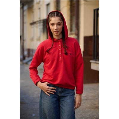худи 3520-07 -50%