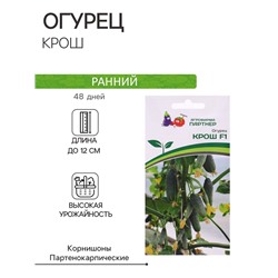 Семена Огурец партенокарпический "Крош", F1, 10 шт