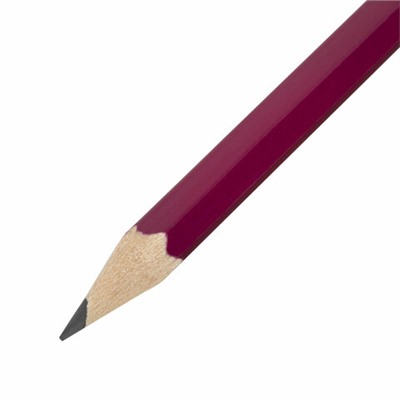 Карандаш чернографитный KOH-I-NOOR, 1 шт., "Astra", НВ, с ластиком, корпус ассорти, заточенный, 1380, 1380002017KSRU