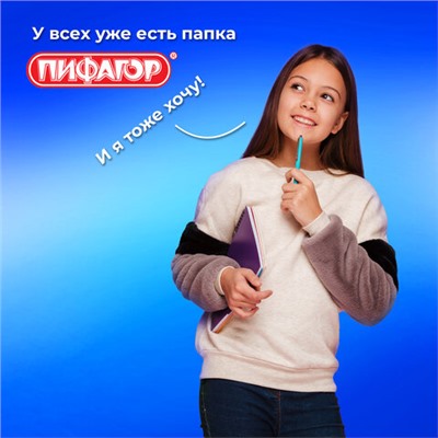 Папка для тетрадей ПИФАГОР А4, 1 отделение, картон/пластик, на молнии, "Cat friends", 272127