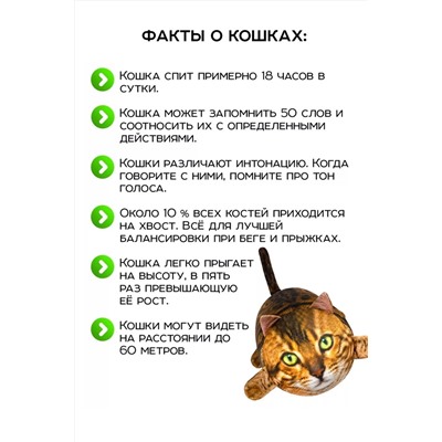 Игрушка-антистресс Кот Рыжик