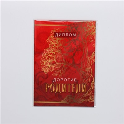 Диплом «Дорогие родители», А6, 16 х 11,3 см.