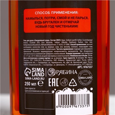 Подарочный набор новогодний ЧИСТОЕ СЧАСТЬЕ «Ничего»: гель для душа 250 мл и гель для бритья 110 мл