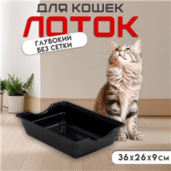 Туалет глубокий без сетки 36 х 26 х 9 см, чёрный