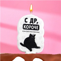 Свеча для торта "С др, короче", кот, 6,5 см, белая