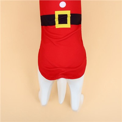 Толстовка для собак с колпаком Santa, S (ДС 25, ОГ 35 см)