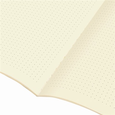 Тетрадь 48 л. в точку обложка кожзам SoftTouch, сшивка, A5 (147х210мм), РОЗОВЫЙ, BRAUBERG RAINBOW, 403882