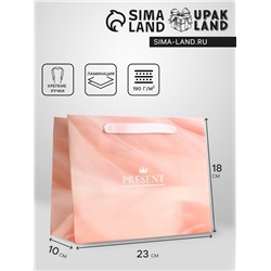 Пакет подарочный горизонтальный Present, 23×18×10 см