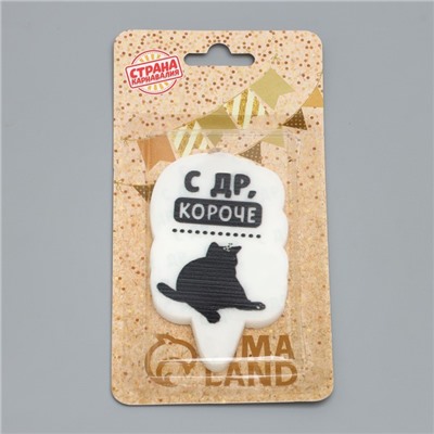 Свеча для торта "С др, короче", кот, 6,5 см, белая