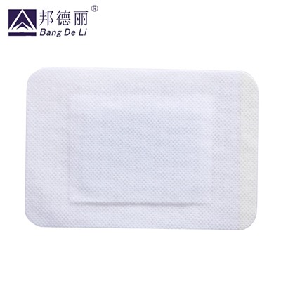 Пластырь ортопедический ZB Pain Relief Orthopedic Plaster