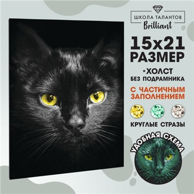Алмазная мозаика с частичным заполнением на холсте «Чёрный кот», 15 х 21 см