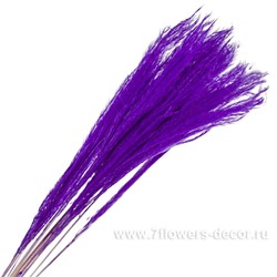Набор ковыля, H60 см, (10 шт)