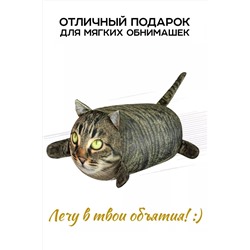 Игрушка-антистресс Кот Василий